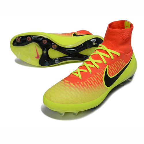 MAGISTA ORDEN FG