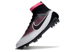 MAGISTA ORDEN FG