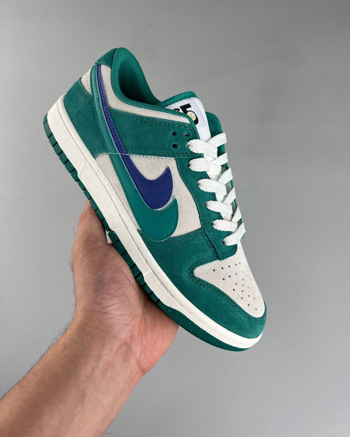 Dunk WMNS Low SE Womens 85 Skate